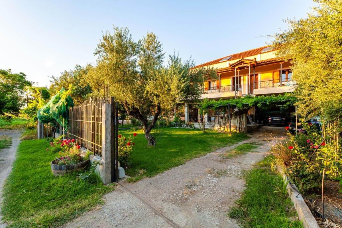 Nelly'S Seaview Retreat - Summer Cozy Getaway Διαμέρισμα Ζαχάρω Εξωτερικό φωτογραφία