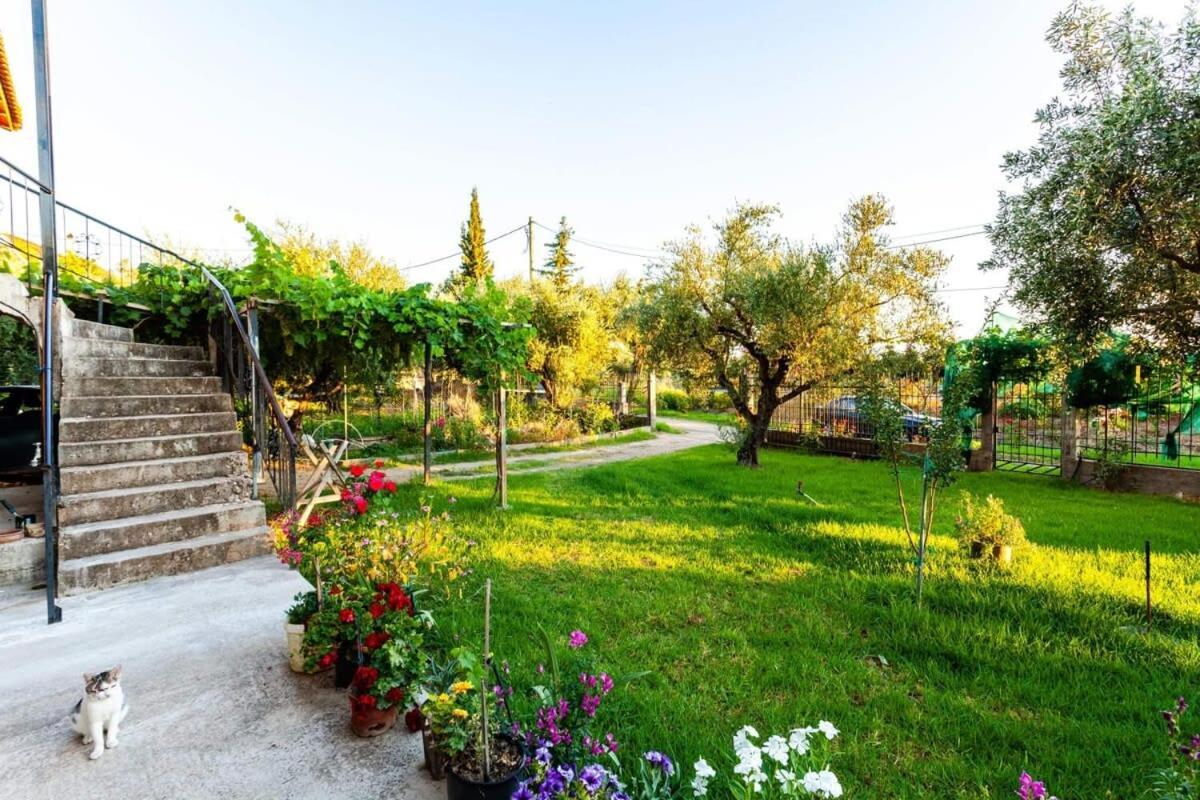 Nelly'S Seaview Retreat - Summer Cozy Getaway Διαμέρισμα Ζαχάρω Εξωτερικό φωτογραφία